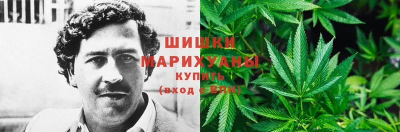 OMG маркетплейс  купить закладку  Приволжск  Конопля индика 